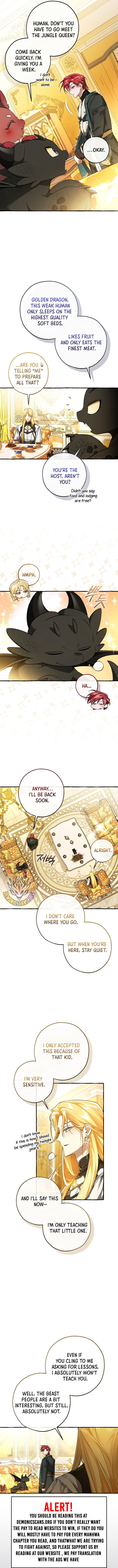 ch 146 4