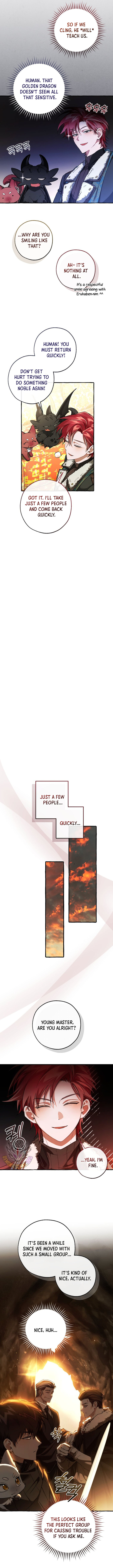 ch 146 5