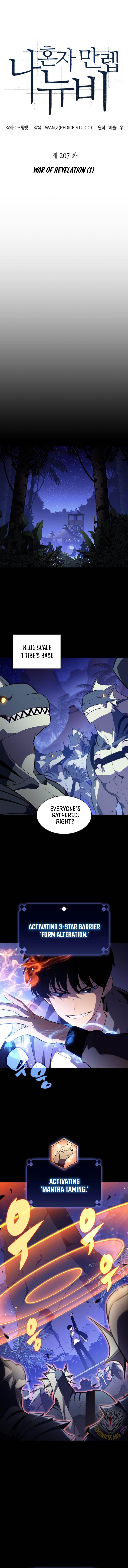 ch 207 3