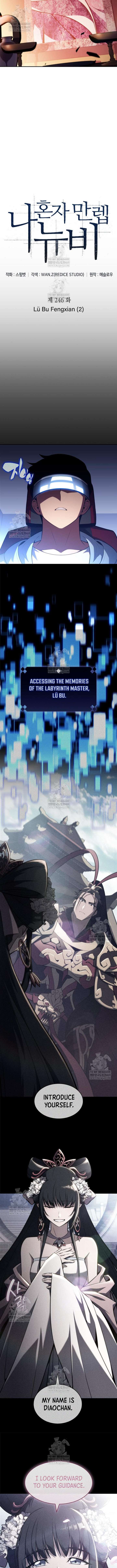 ch 246 2