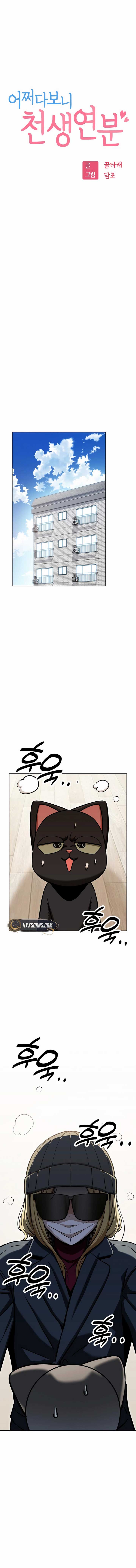 ch 115 6