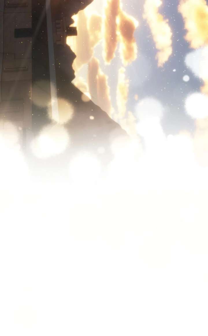 81