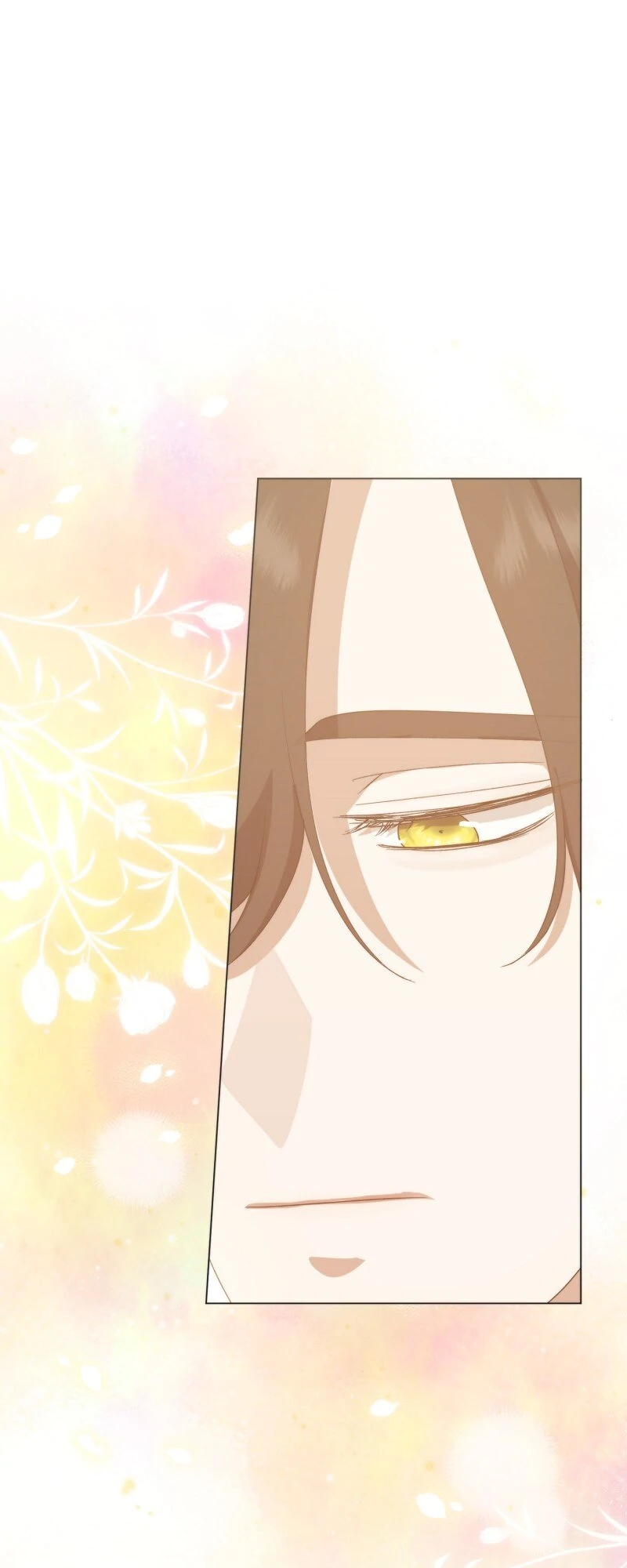 ch 75 51