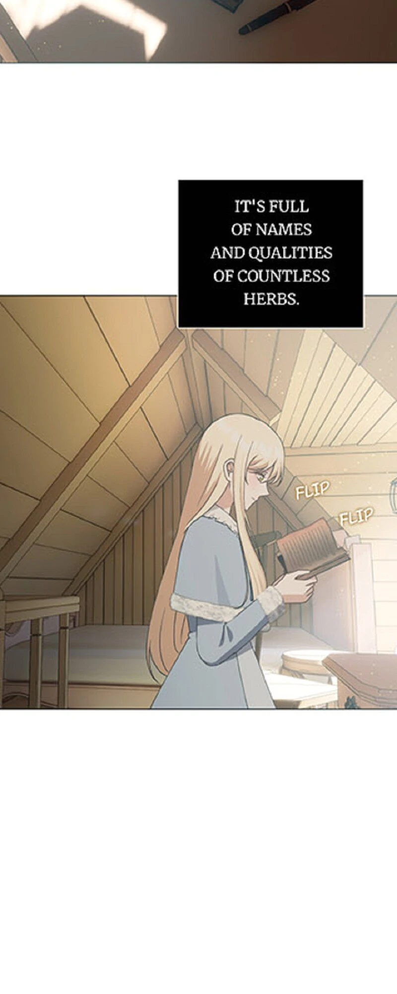 ch 88 19