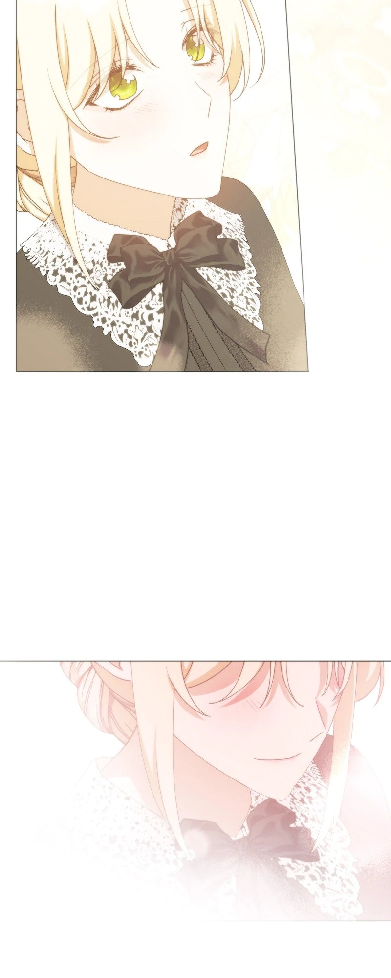 ch 95 17