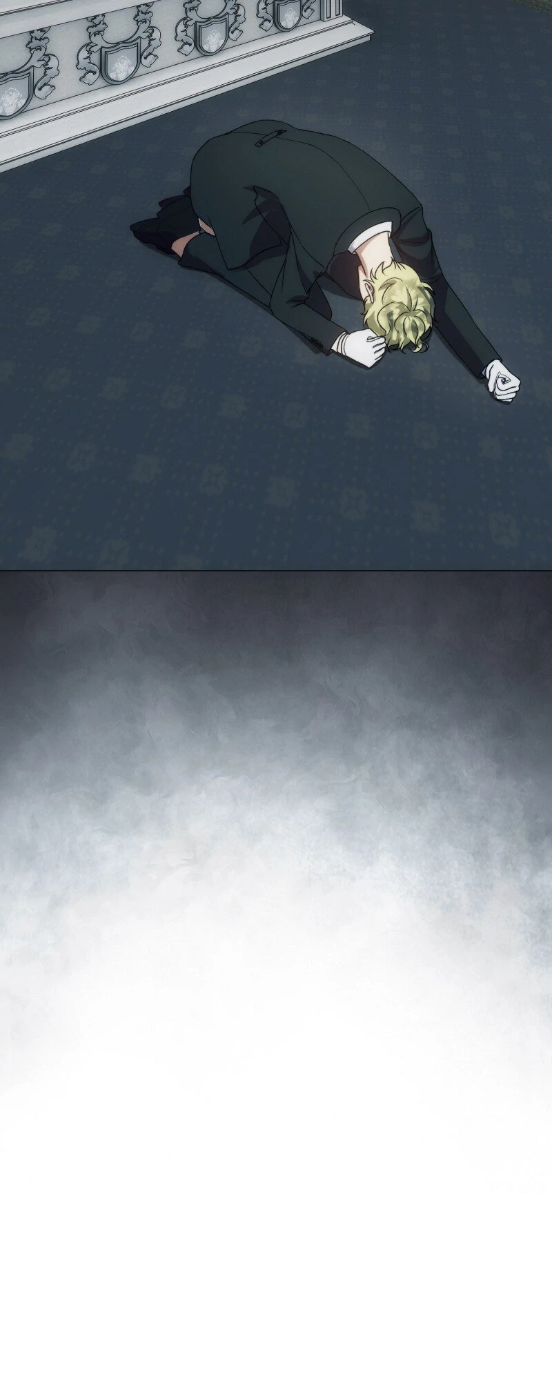 ch 95 63
