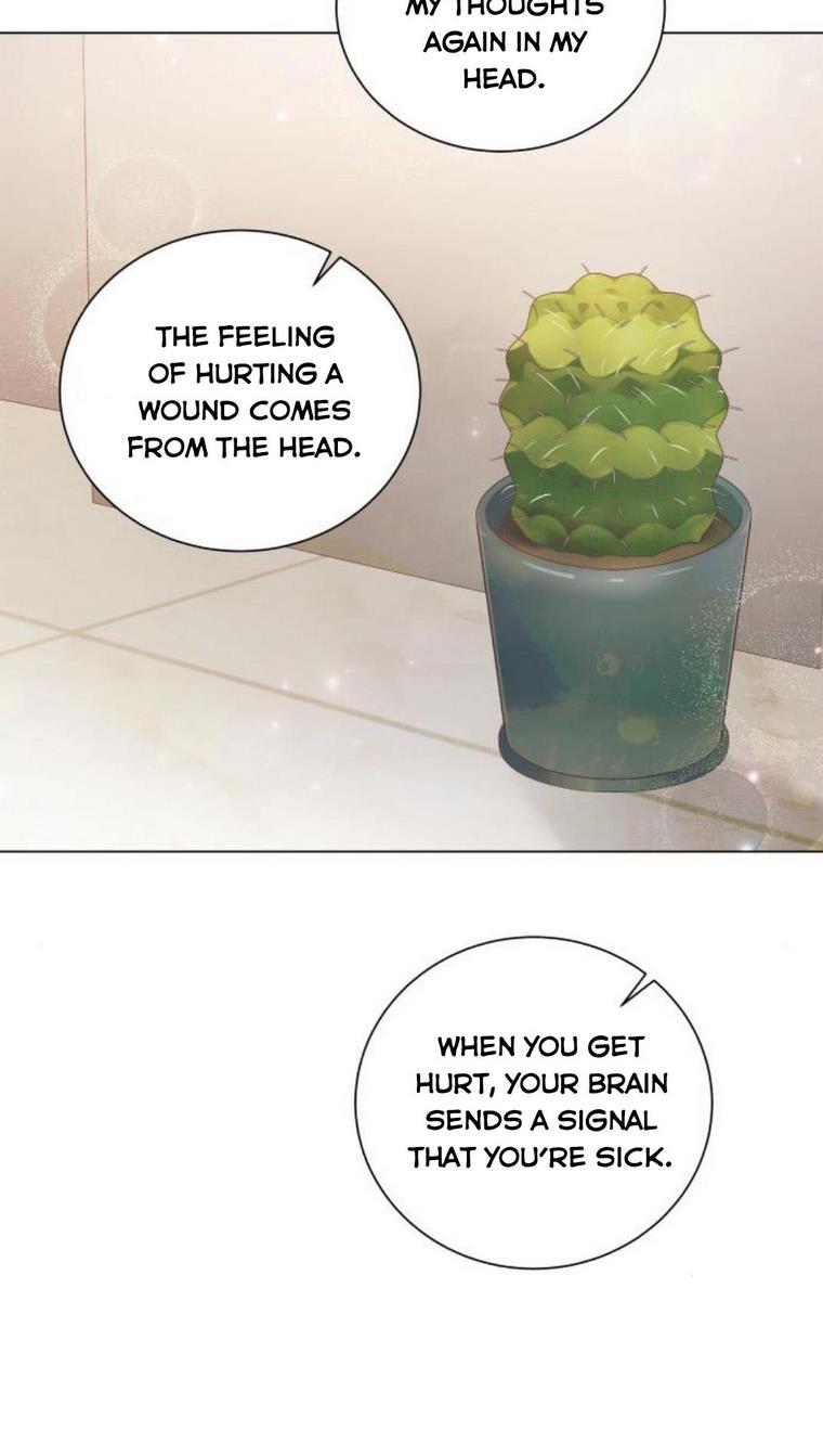 061