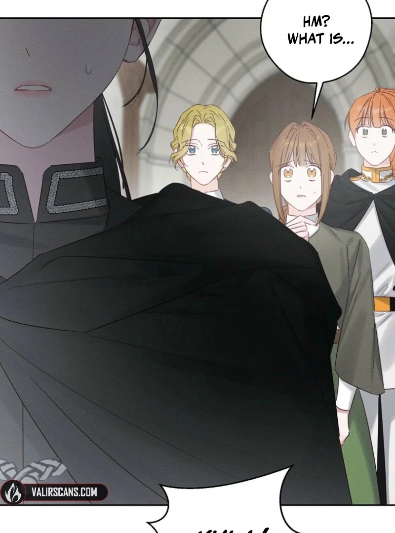 Let’s Hide My Younger Brother First Chapter 102 374 043