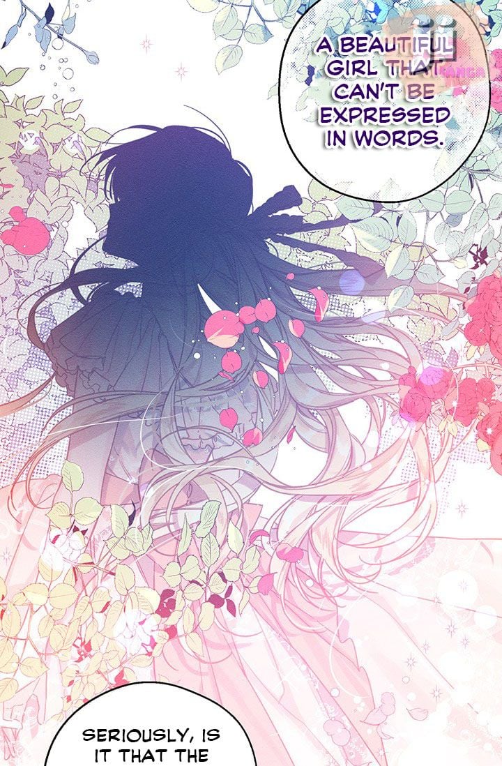 Let’s Hide My Younger Brother First Chapter 18 240 41