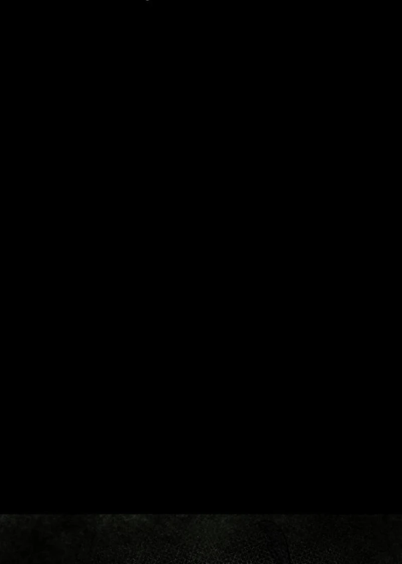 232e5a88c561