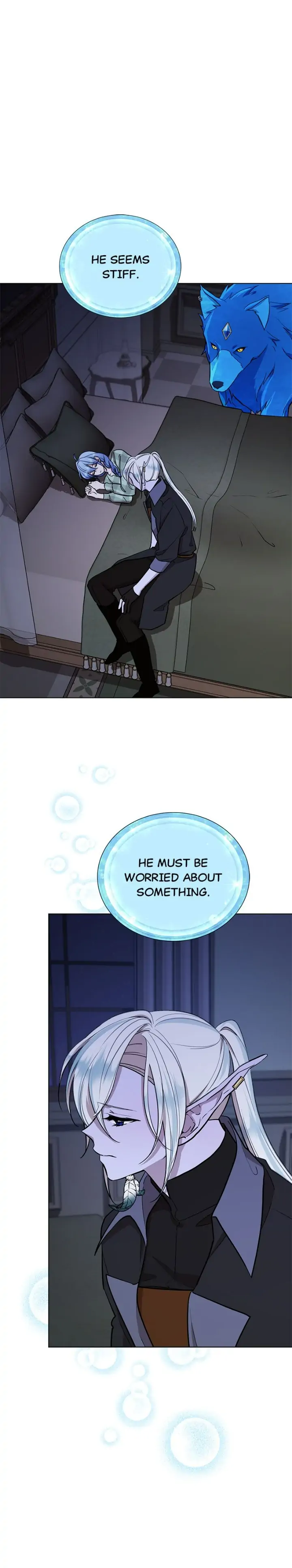 41