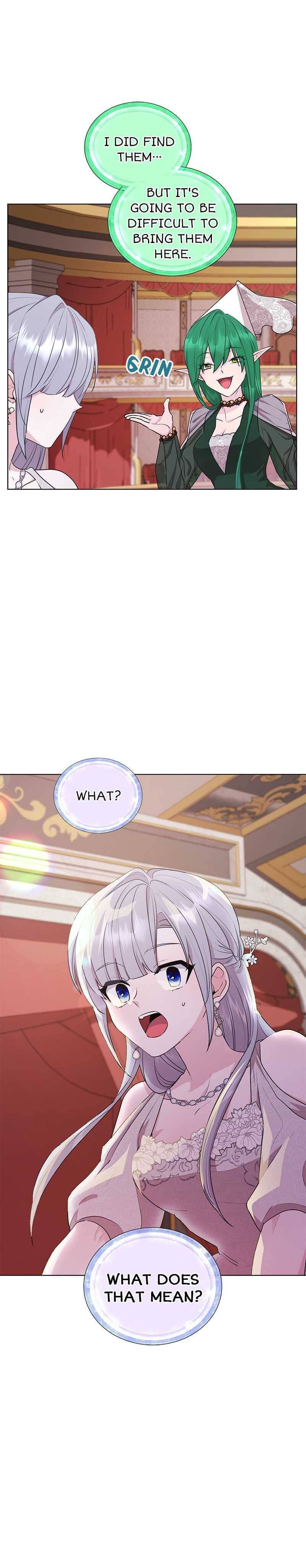 The Daughter of the Elemental King Chapter 72 94 21
