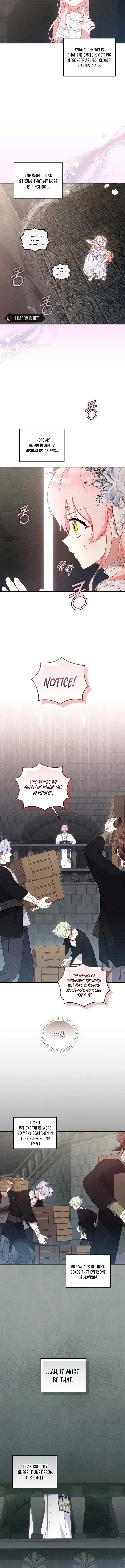 I’m Being Raised by Villains Chapter 79 49 2