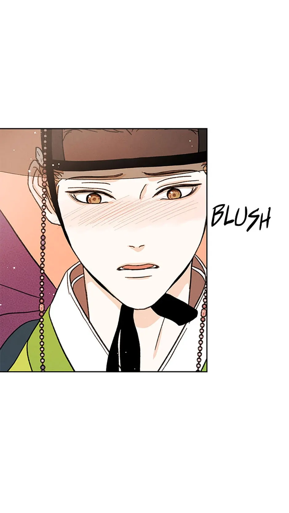 Under the Plum Blossom Tree Chapter 12 312 53