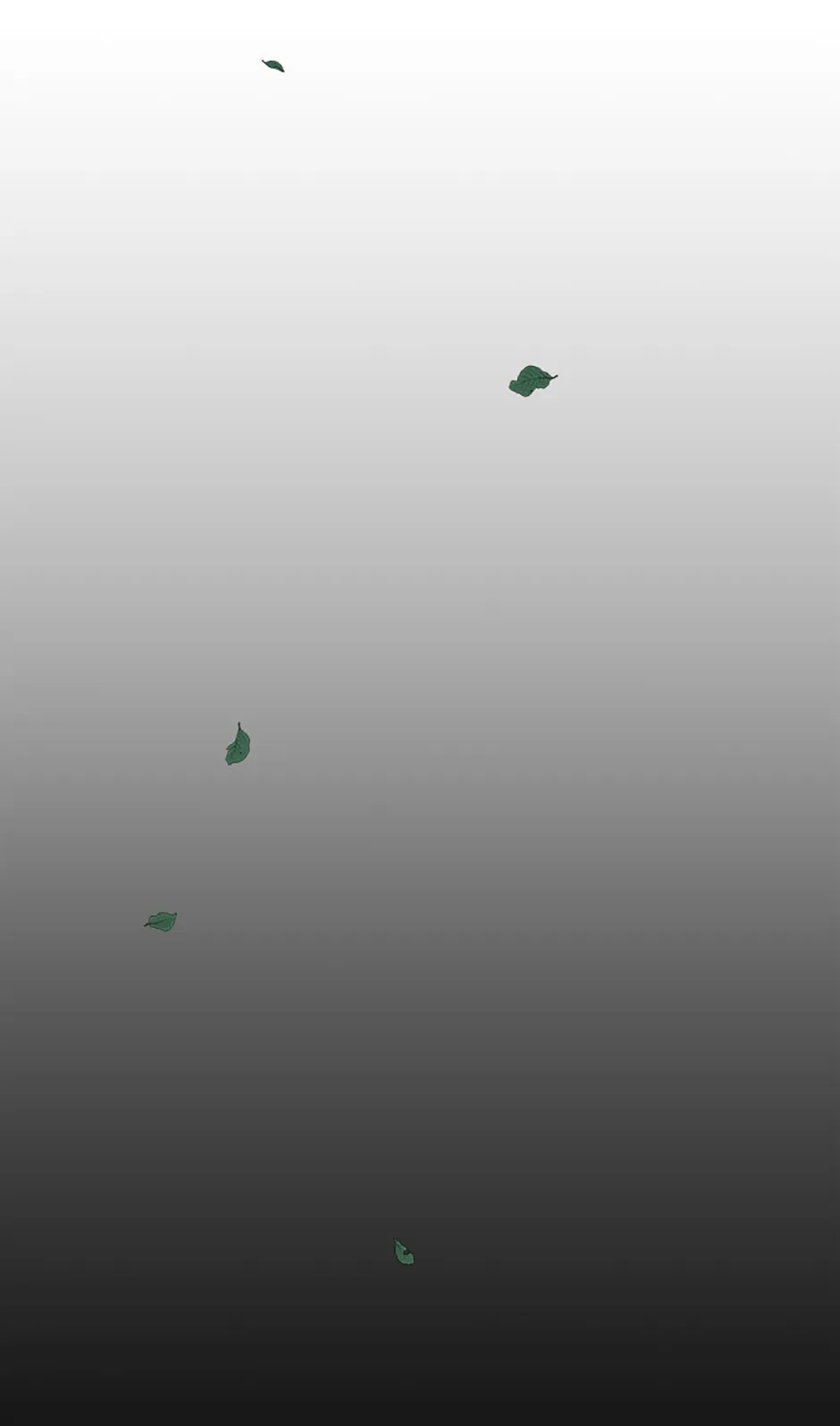 Under the Plum Blossom Tree Chapter 20 302 49