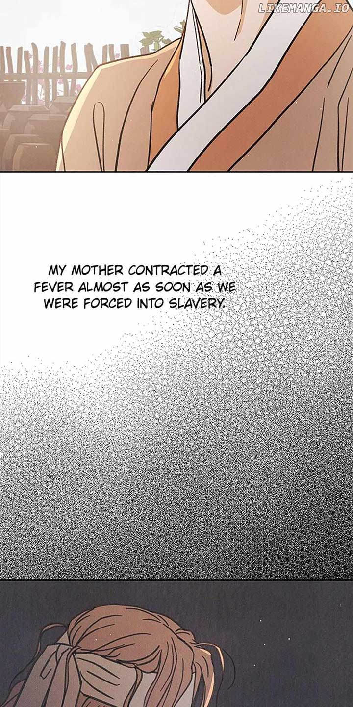 Under the Plum Blossom Tree Chapter 53 366 044
