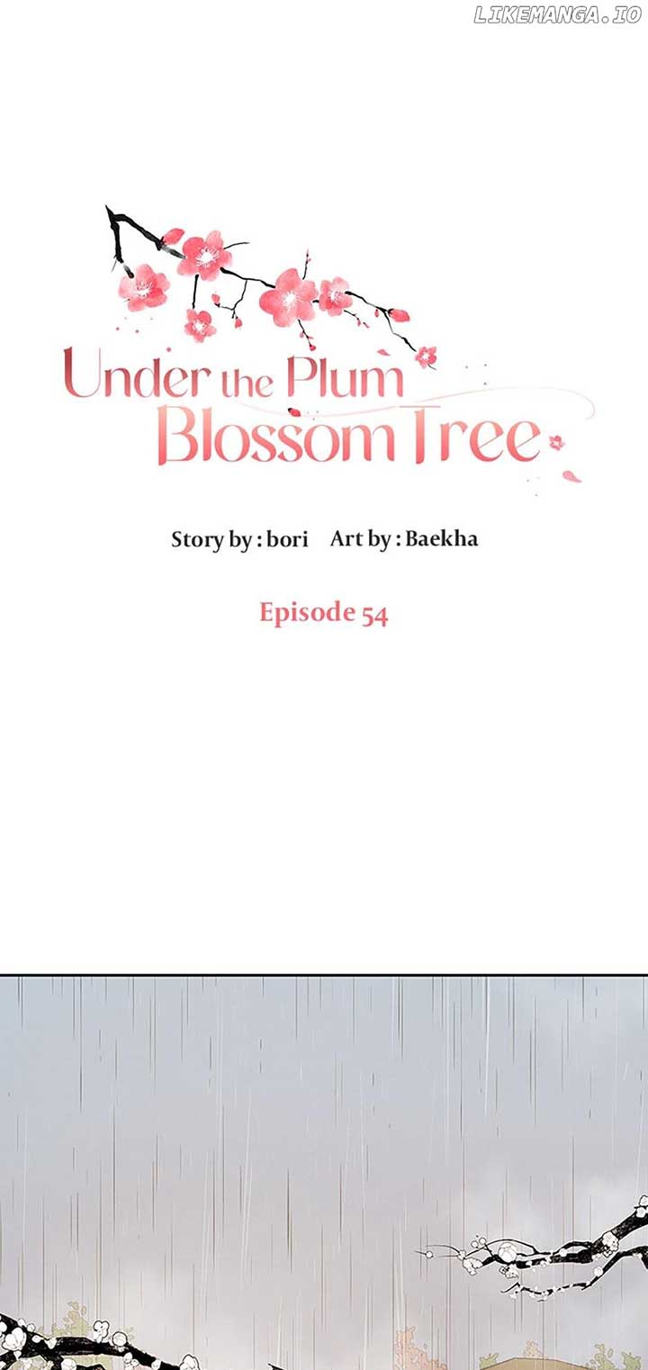 Under the Plum Blossom Tree Chapter 54 311 001
