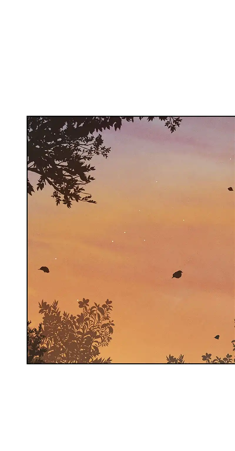 Under the Plum Blossom Tree Chapter 61 296 04