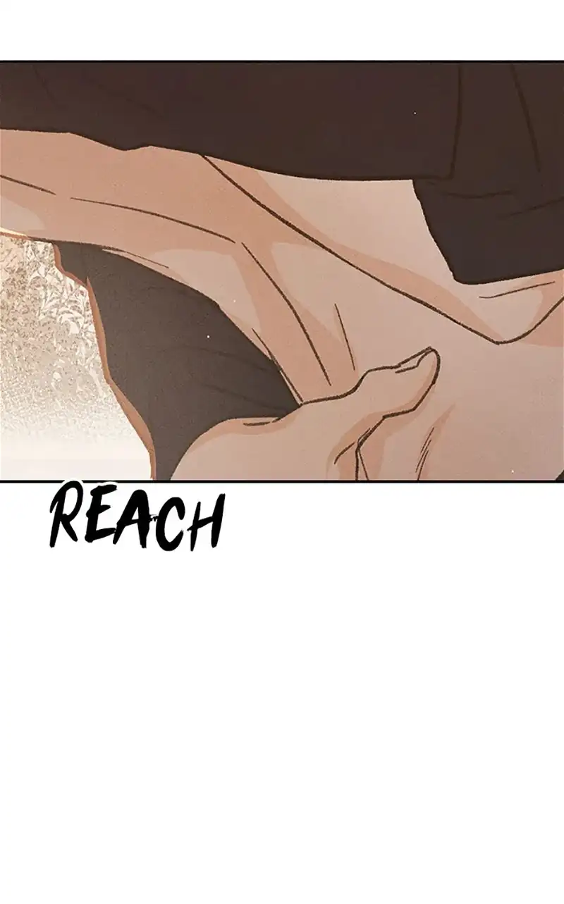 Under the Plum Blossom Tree Chapter 61 307 15