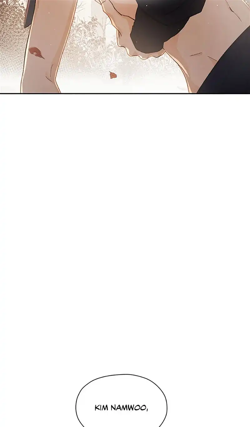 Under the Plum Blossom Tree Chapter 61 316 24