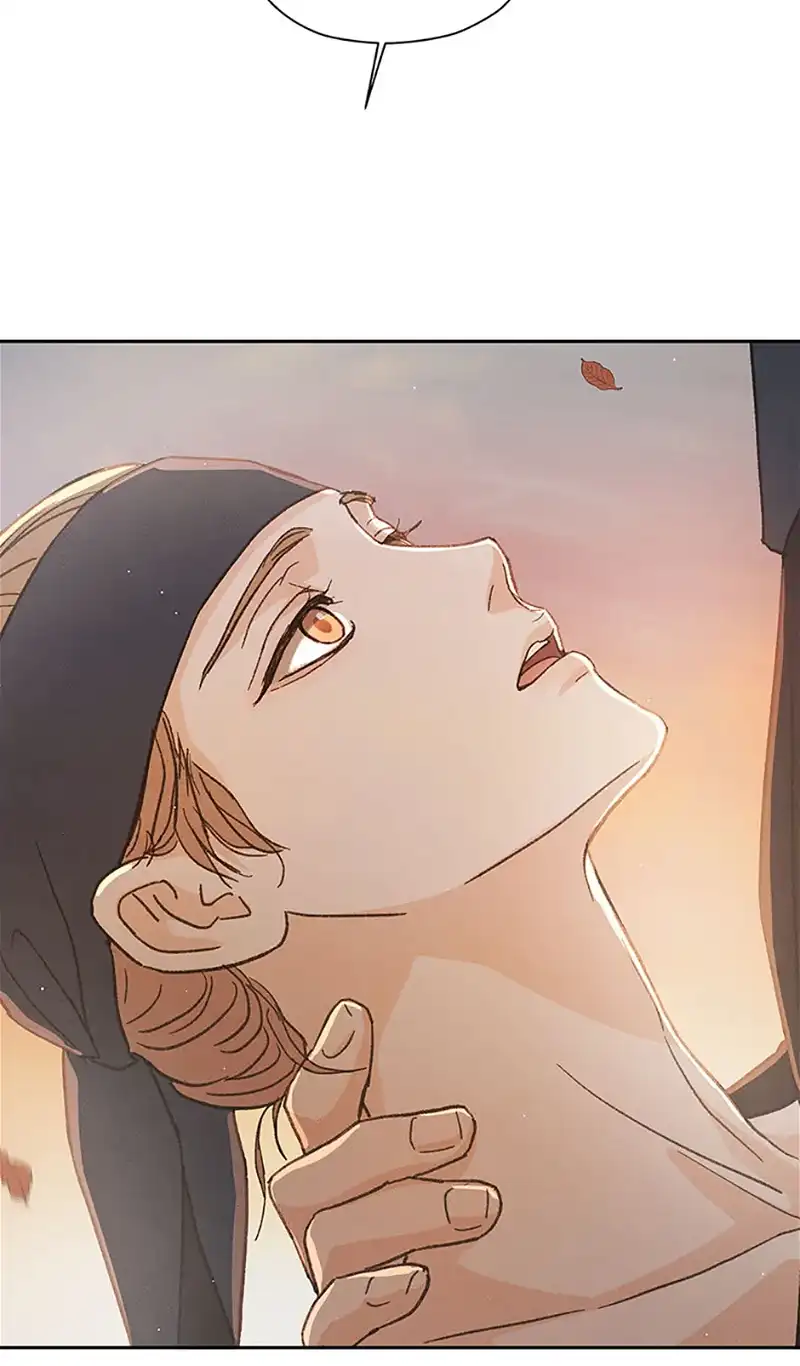 Under the Plum Blossom Tree Chapter 61 317 25