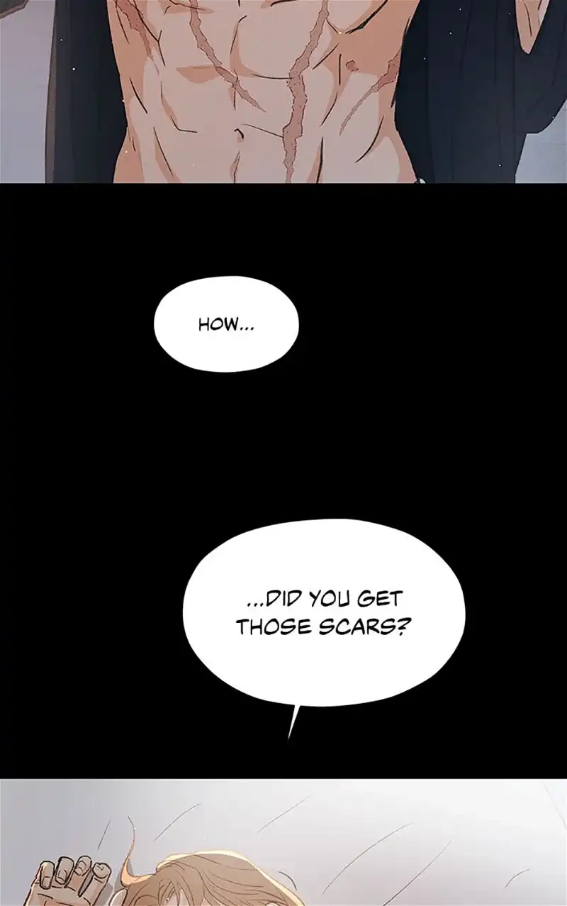 Under the Plum Blossom Tree Chapter 61 337 45