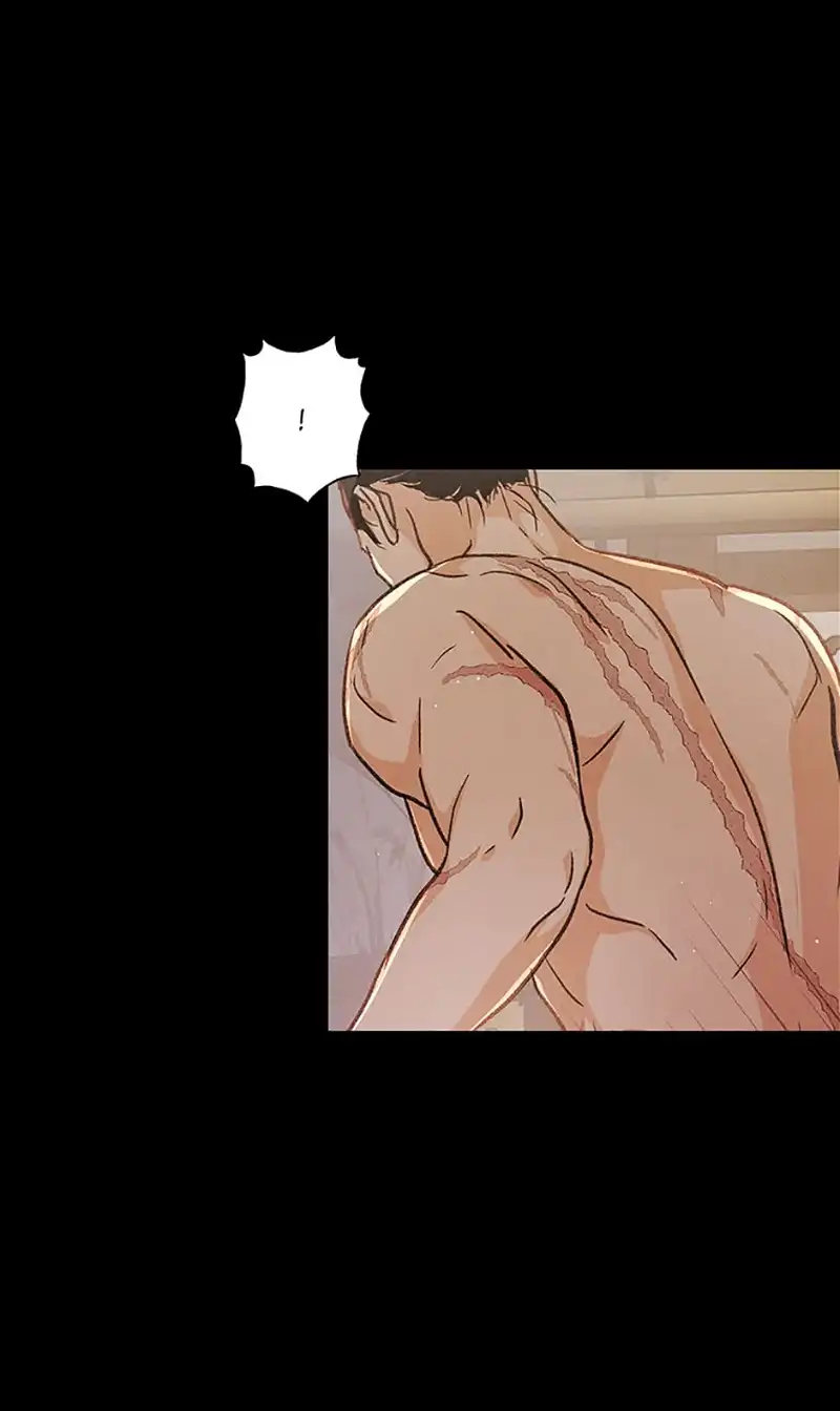 Under the Plum Blossom Tree Chapter 61 347 55