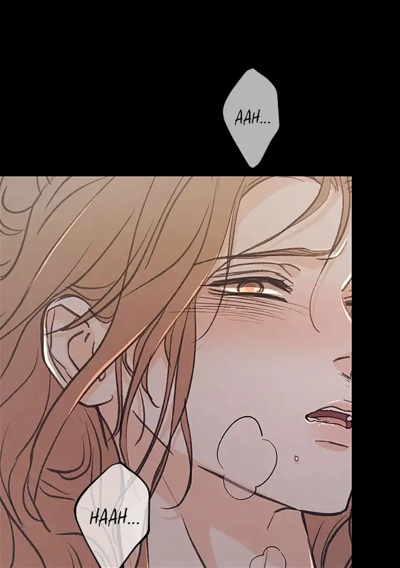 Under the Plum Blossom Tree Chapter 61 372 80