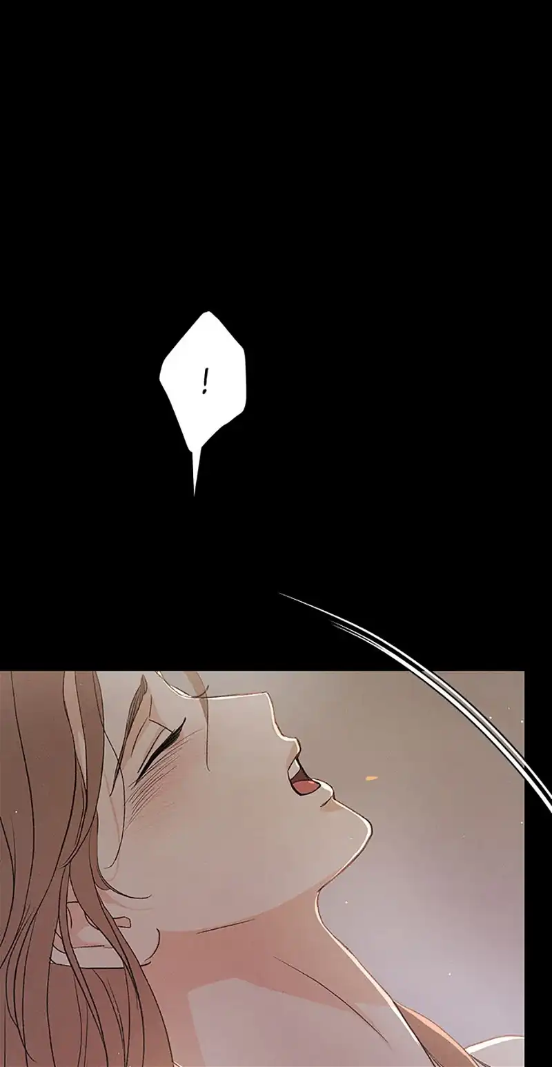 Under the Plum Blossom Tree Chapter 64 374 049