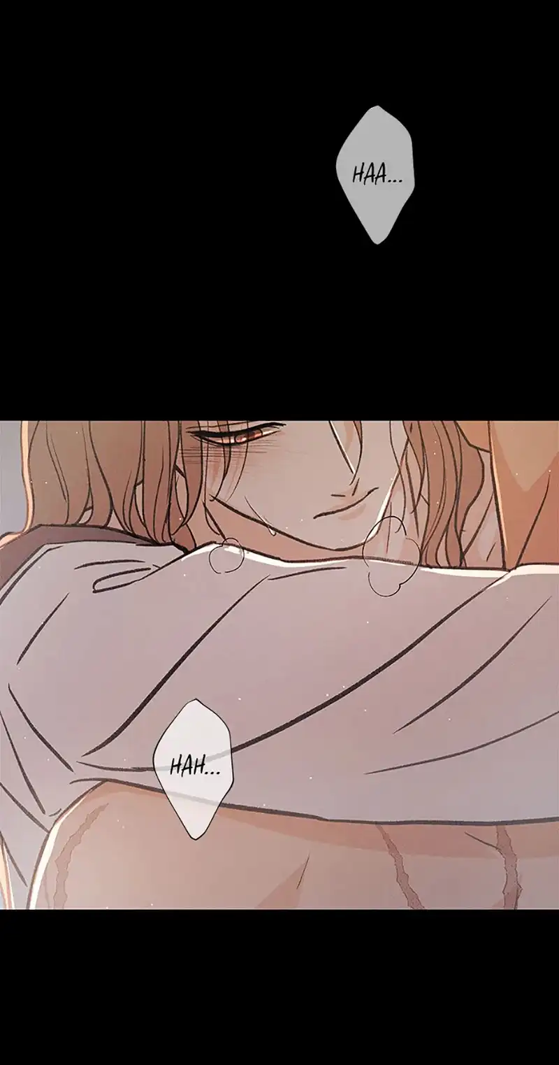 Under the Plum Blossom Tree Chapter 64 383 058