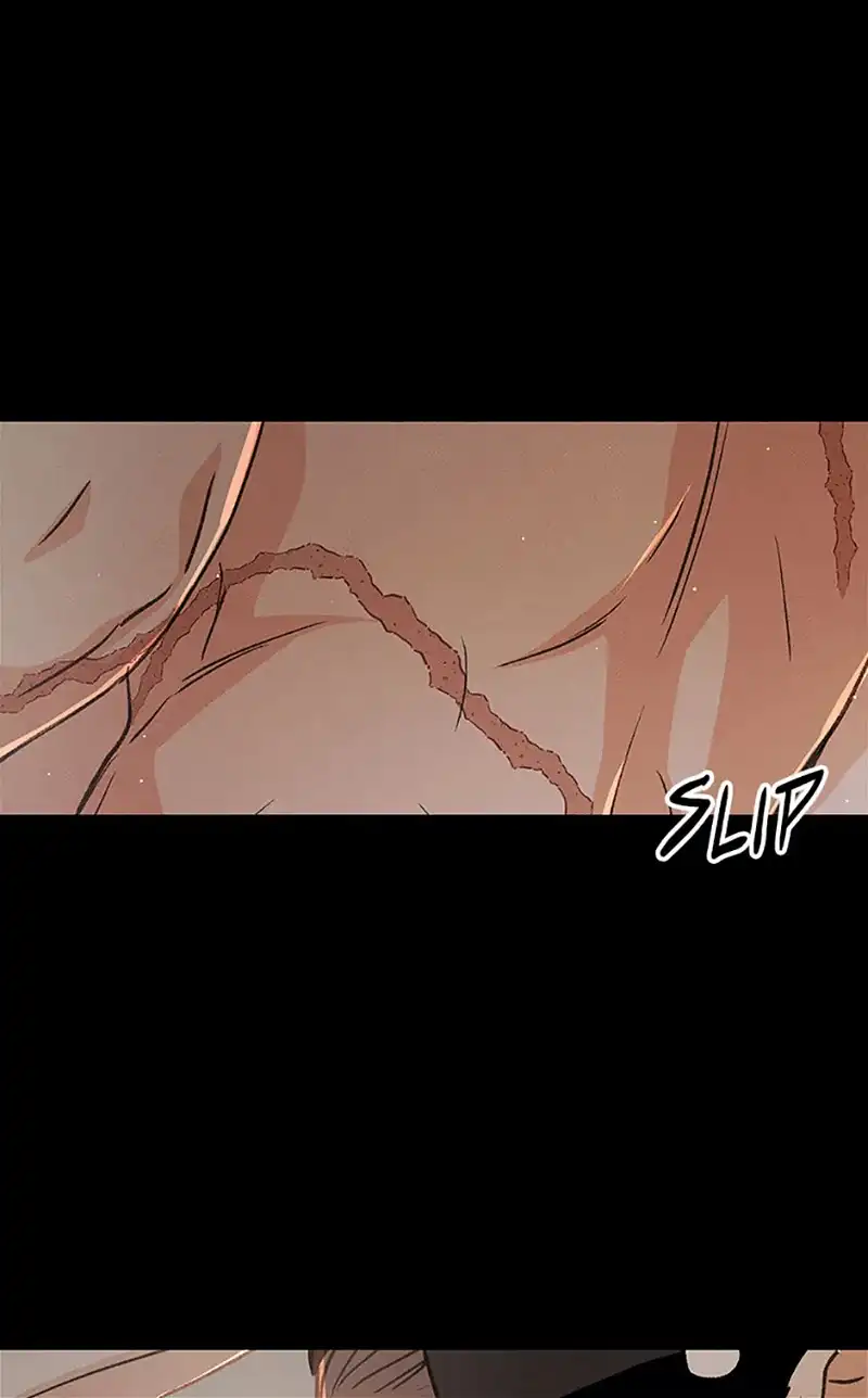 Under the Plum Blossom Tree Chapter 64 384 059