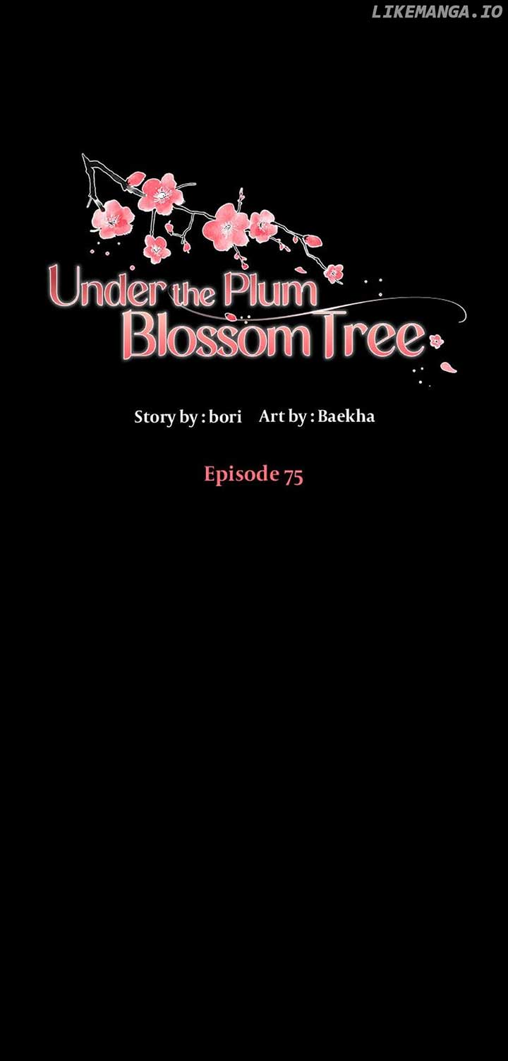 Under the Plum Blossom Tree Chapter 75 290 01