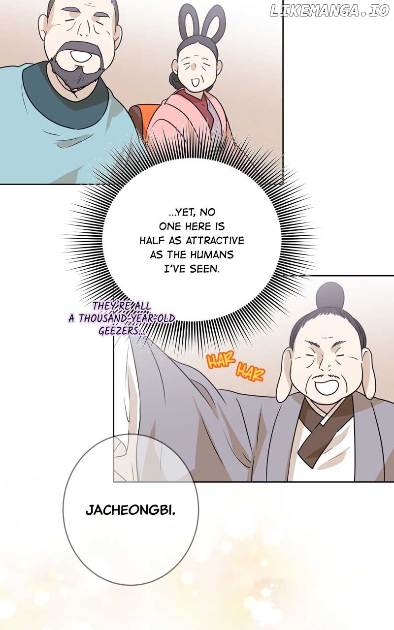 41