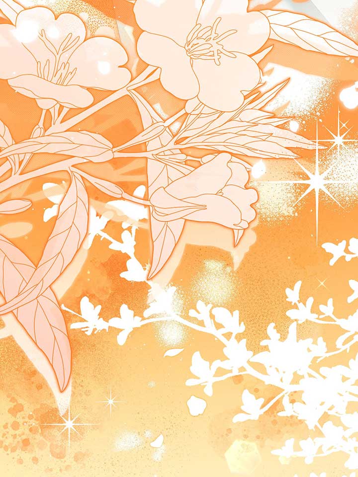 ch 79 105