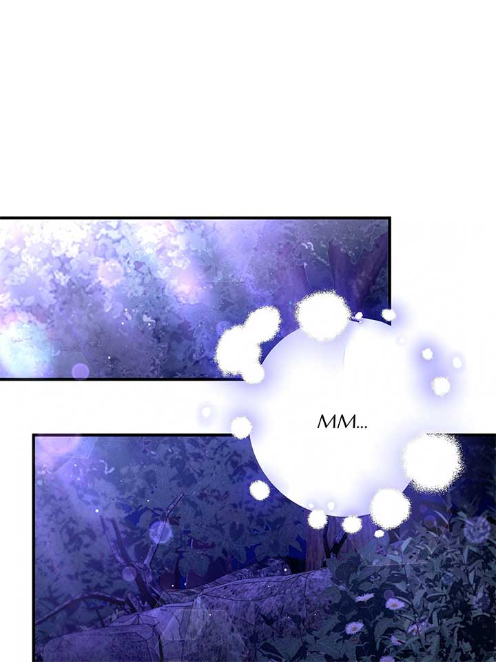ch 81 1