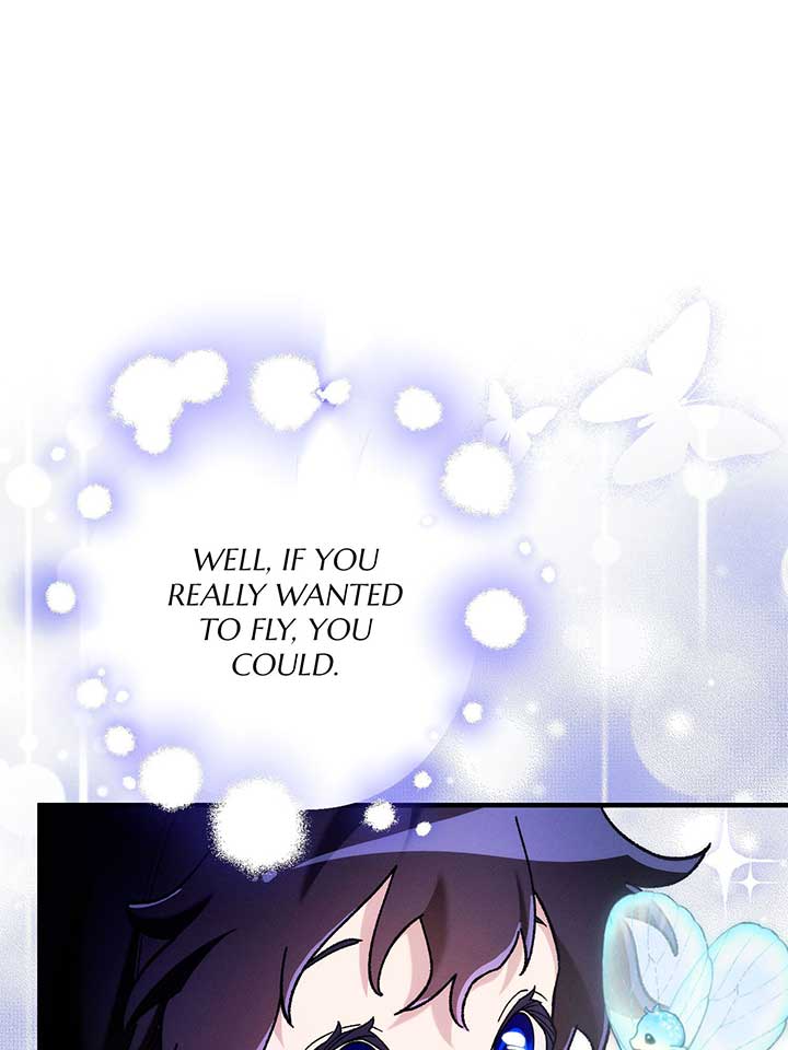 ch 81 11