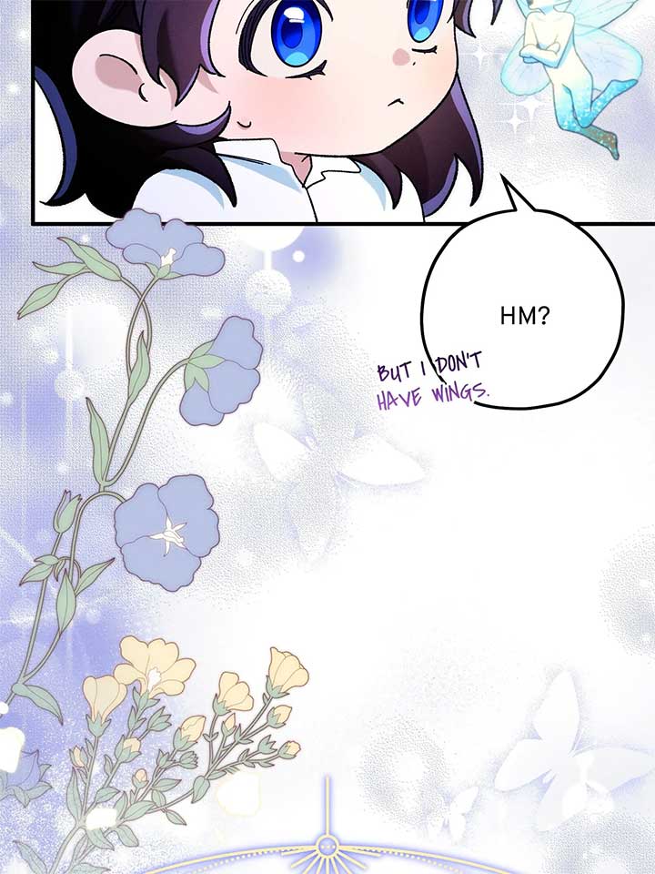 ch 81 12