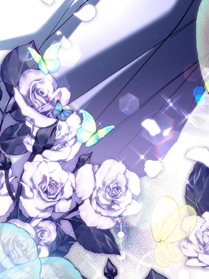 ch 81 38