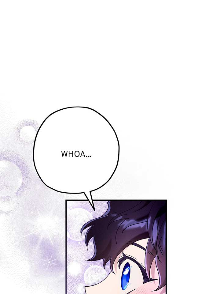 ch 81 40