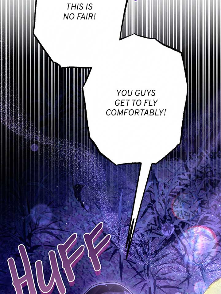 ch 81 6