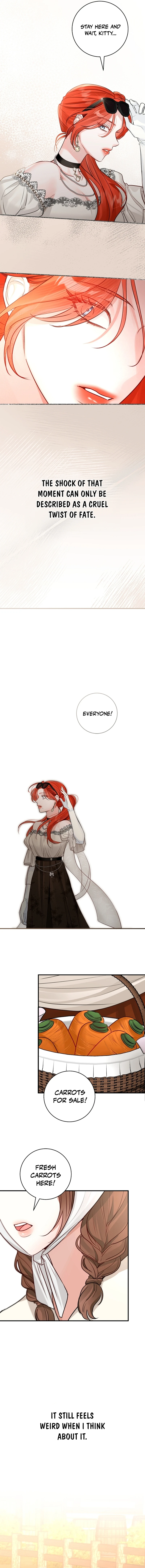 ch 64 12
