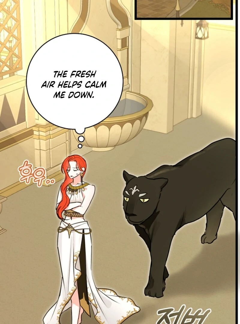 The Archduke’s Gorgeous Wedding Was a Fraud Chapter 81 357 ch 81 8