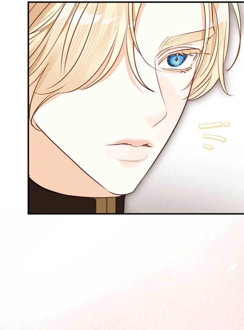 The Archduke’s Gorgeous Wedding Was a Fraud Chapter 84 423 101
