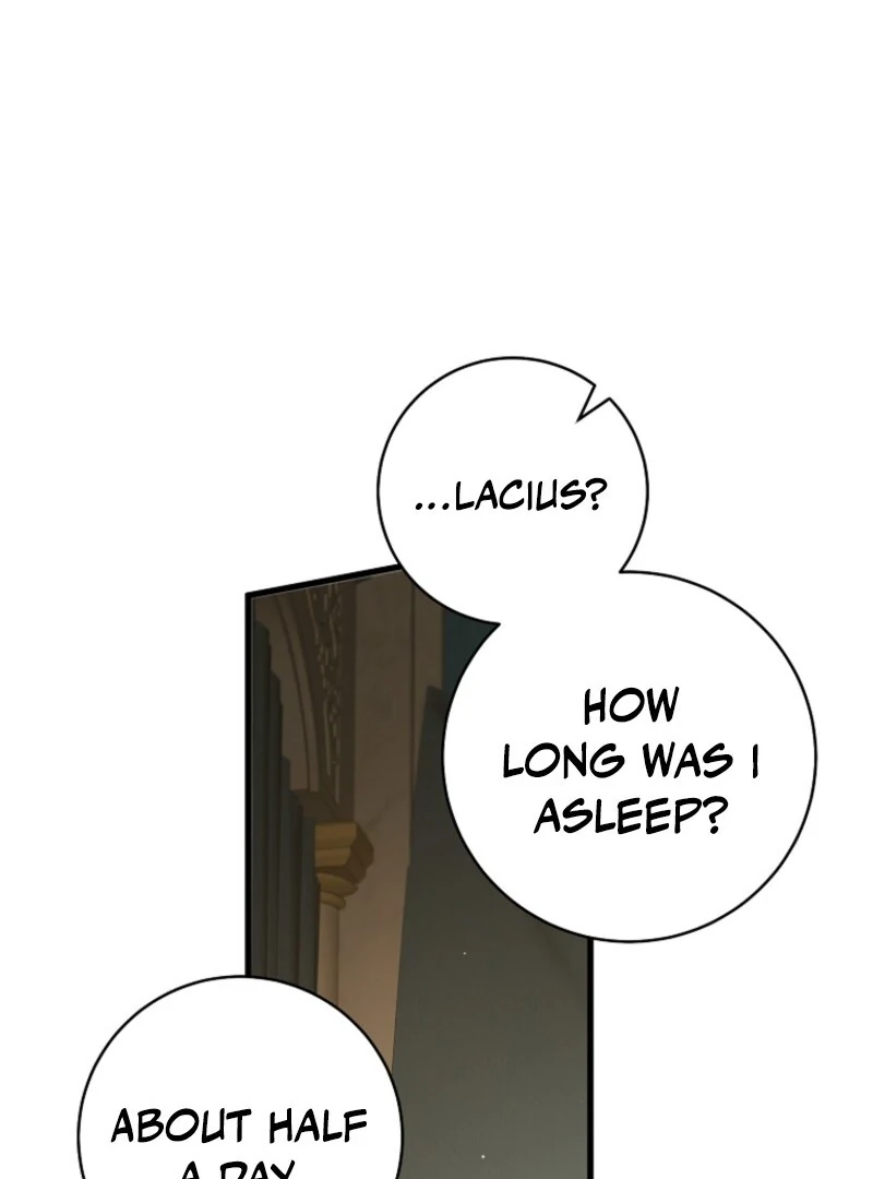 The Archduke’s Gorgeous Wedding Was a Fraud Chapter 85 388 066