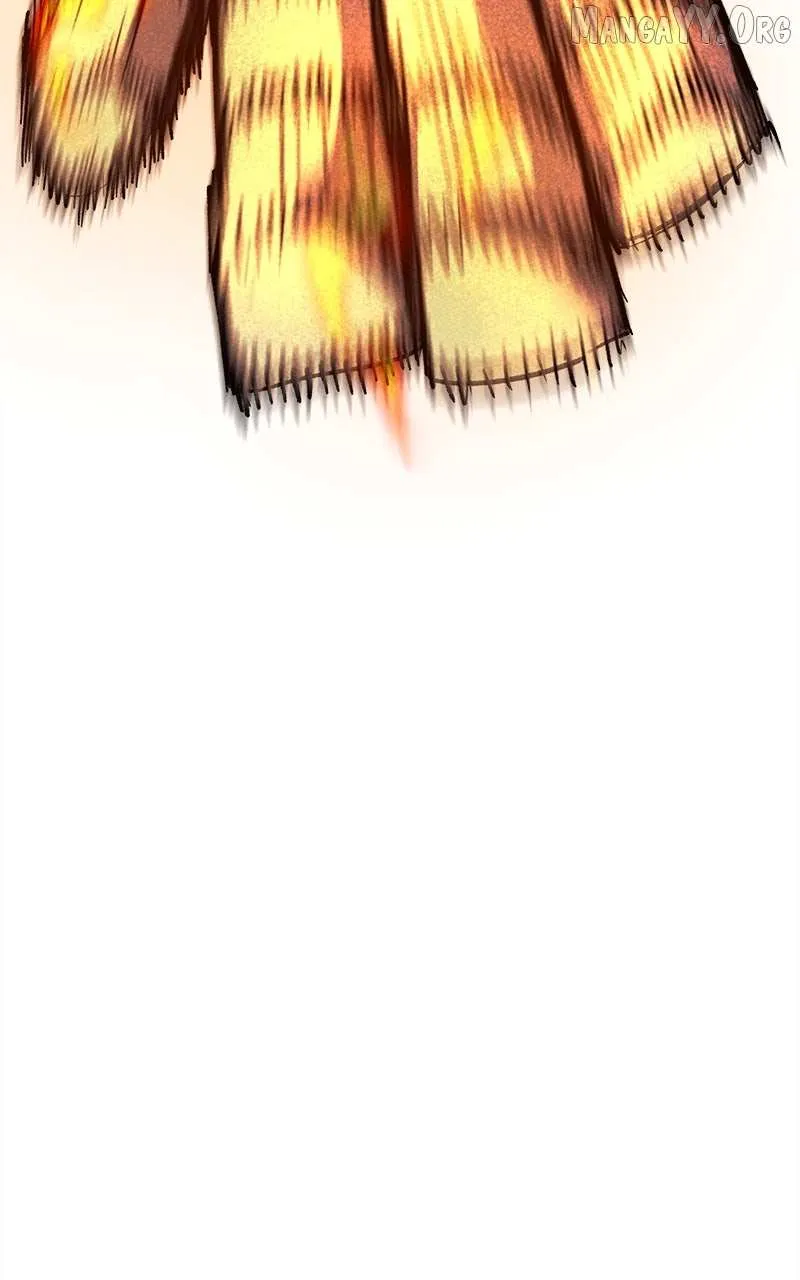11a265c0a663