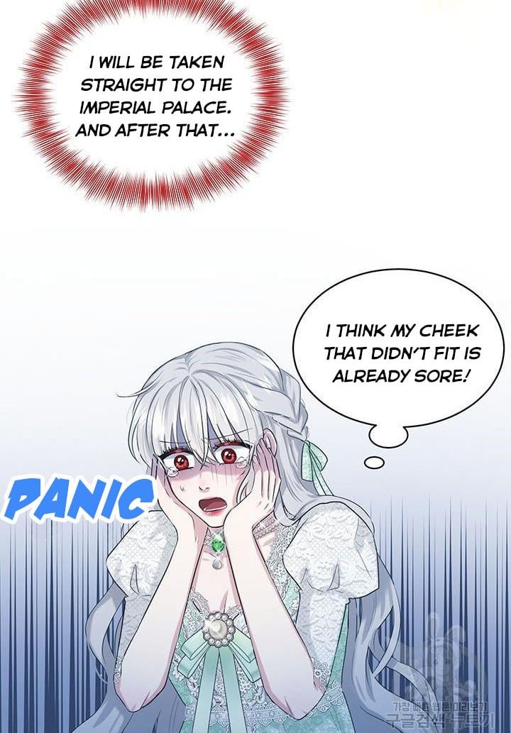 How to Get Rid of My Dark Past Chapter 12 255 011