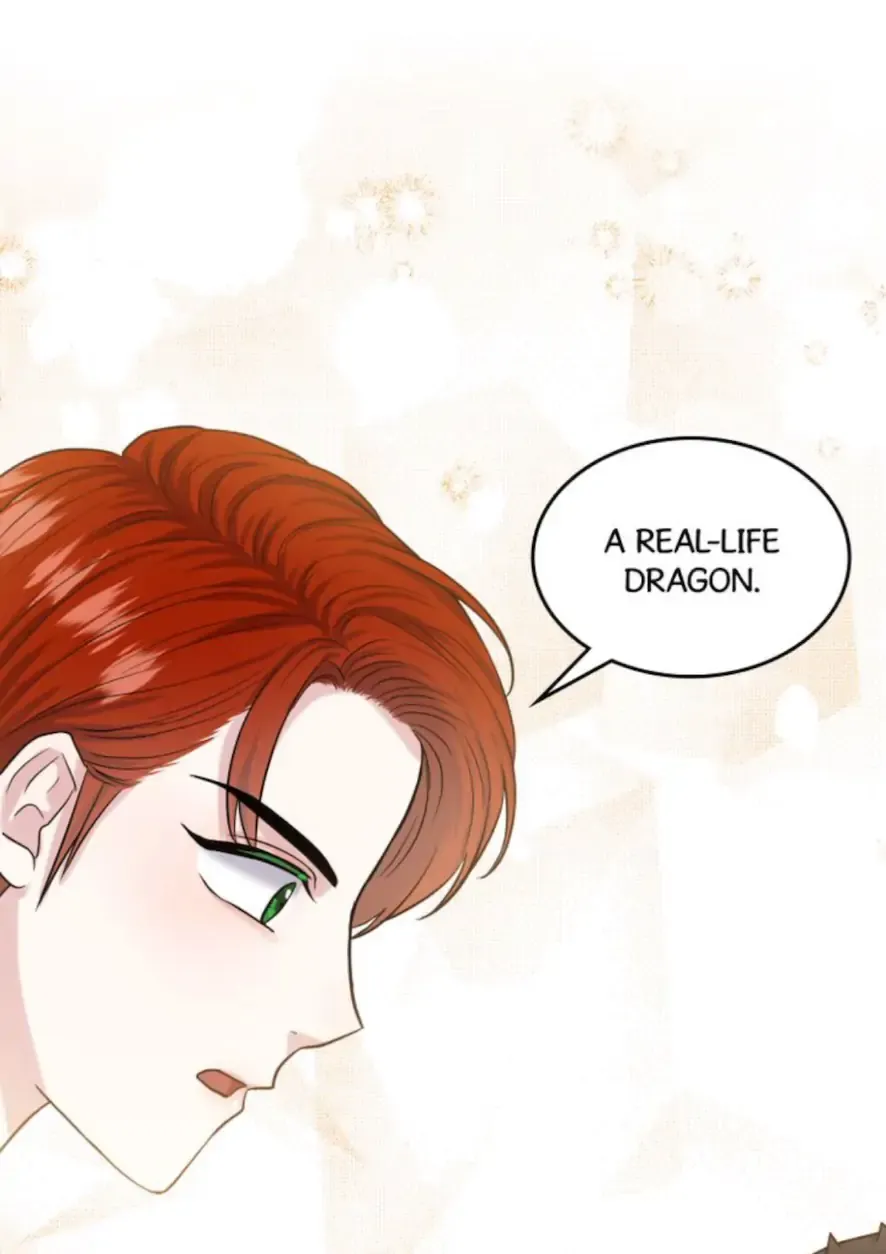 How to Get Rid of My Dark Past Chapter 39 348 020