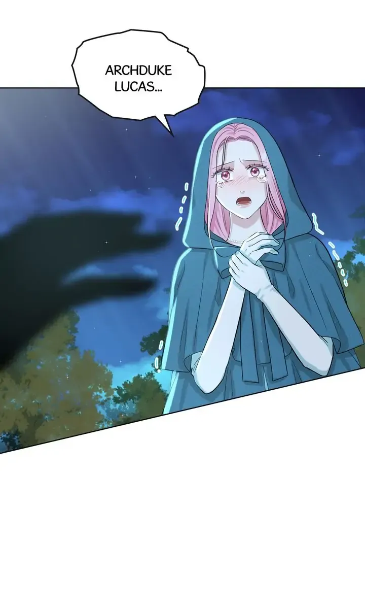 How to Get Rid of My Dark Past Chapter 47 335 43
