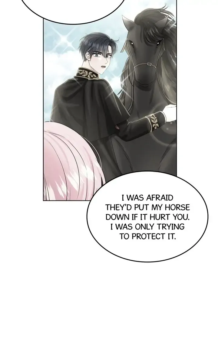 How to Get Rid of My Dark Past Chapter 47 339 47