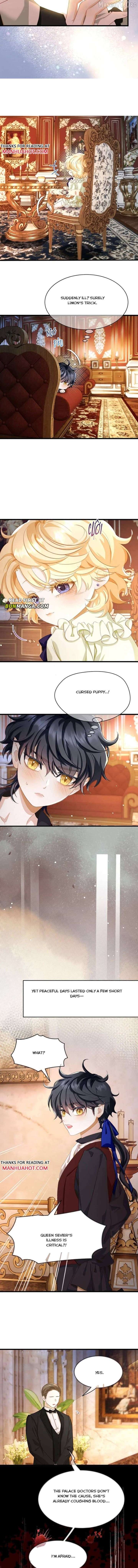 ch 113 4